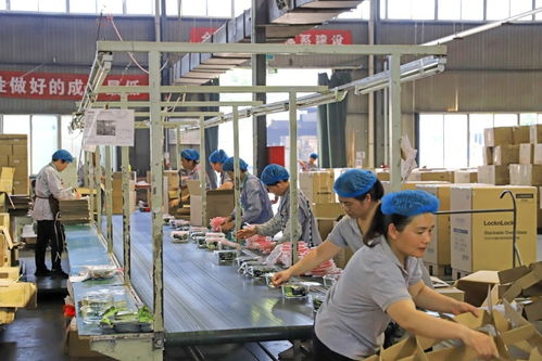 近九成專精特新企業制定國際化計劃