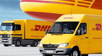 國際物流行業(yè)標(biāo)桿企業(yè)dhl選擇mchr