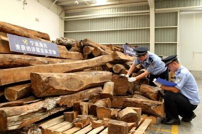 夜讀海關(guān) | 海關(guān)14日開展打擊&ldquo;洋垃圾&rdquo;走私專項行動;跨境郵寄月餅有講究